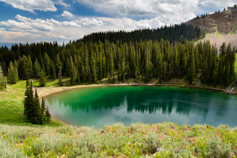 Ski Lake Jackson Hole